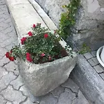 Milla 4-6 Letti - Pontagna -1km Ponte Di Legno T04416 بيت للعطل *