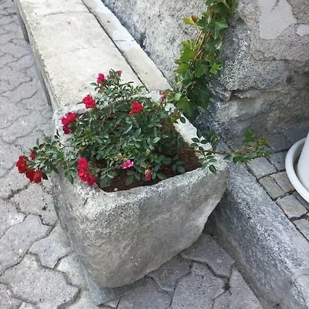 Milla 4-6 Letti - Pontagna -1km Ponte Di Legno T04416 Holiday home *